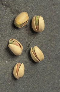 220px-ARS_pistachio