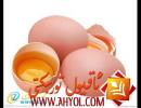 تۇخۇم ۋە بالىلار قىزىتمىسى