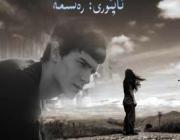 پىنھان خەتلەردىن ئارىيە (3)