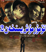 تۆمۇر مۇش يىنخەن2