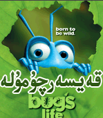قەيسەر چۈمۈلە