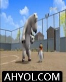  پالاكەت ئىيىق