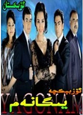 يىگانەم