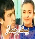 بىكارچىلار