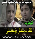 ئاكا  سىڭىل مۇھەببىتى