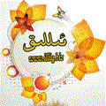 ئىللىق سالونى