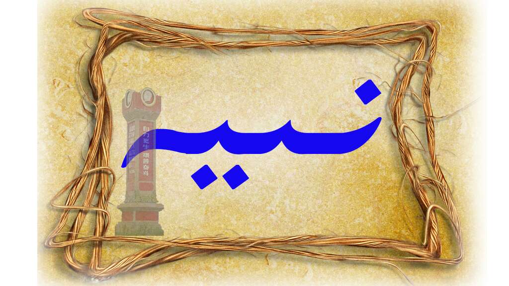 نىيە ئۈندىدار سالونى