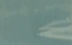 قاناستا مەخلۇق بايقالدى