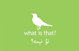 ئۇ نېمە؟