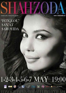 شاھزودە 2013-يىلى سەنئەت كېچىلىكى