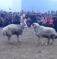 内乡梨园山