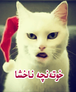 خوتەنچە ناخشا