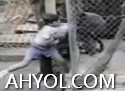 ئەسەبىي ھايۋانلار