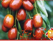 چىلاننى قانداق يېگەندە قان تولۇقلاش ئۈنۈمى ياخشى بولىدۇ؟
