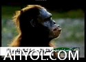 تەبىئەتتىكى بايقاش - قەدىمكى ئىنسانلار دەۋرىگە سەپەر (3)