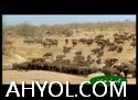 تەبىئەت ھەققىدە ھېكايە - رۇئاخا دەرياسى توغرىسىدىكى رىۋايەت (1)