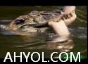 ئىپتىدائىي ھېكايە - ئانا كايمان تىمساھى (1)