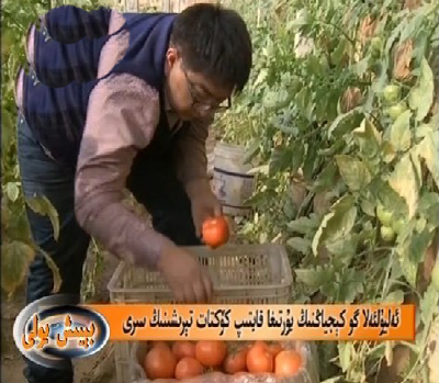 ئەليۇلئەلا كوكېچياڭنىڭ يۇرتىغا قايتىپ كۆكتات تېرىشىنىڭ سىرى