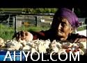 ۋاپادار پەرزەنت بولۇڭ