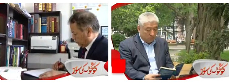 شىنجاڭغا مۇھەببەت 2