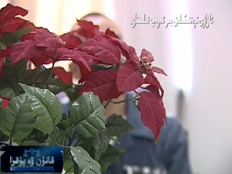 تۈرمىدىكى بىر جازا ئۆتىگۈچىنىڭ پۇشايمىنى