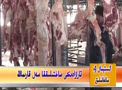 16 - سانى
