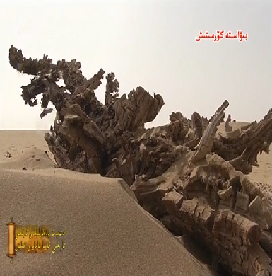 2013 - يىلى 20 - فېۋرال ‹تەكلىماكاندىكى قەدىمىي مەدەنىيەتنىڭ سىرىنى ئېچىش›بىۋاستە كۆرسىتىش