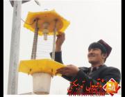 توقسۇ ناھىيەسى 4400 دانە ئەقلىي ئىقتىدارلىق ھاشارەت يوقىتىش چىرىغى ئورناتتى