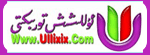 ئۇللىشىش تورى