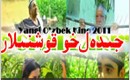 جىدەلخور قوشنىلار