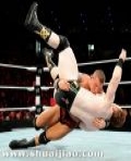 RAW 2010.12.28