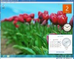 win8rp