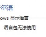 UyghurLIP-bug-1