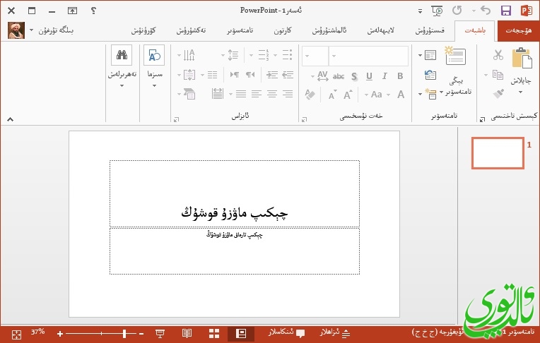 ppt1.jpg