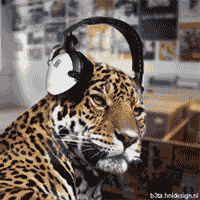 2debbe1932c6c0ce4a9f21d2fbaf749e1df98d4d0f8eae772a0f58e9b6e7c9ea6613afa0977efaa7.gif