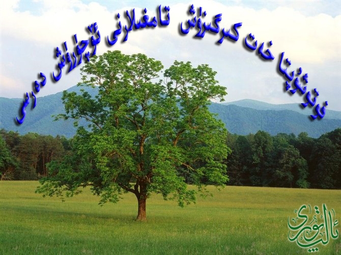 2008218hh.jpg