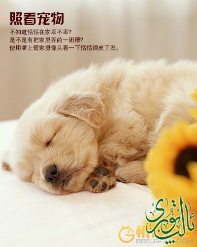 092815vir3p5dywwkr74zn.jpg.thumb.jpg