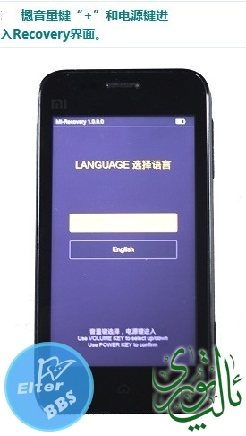 165300byz3tokikplljpk5.jpg
