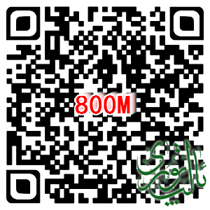 800m