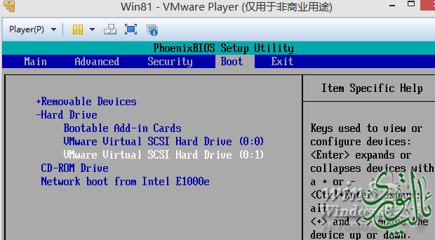 1144245U5-7[1].png