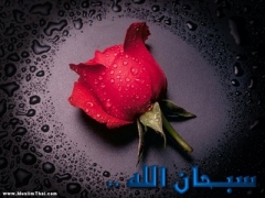 سېغىنىش