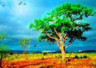 يازما ئارىسىغا ئىلان قوشۇش قىستۇرمىسى Post Layout