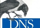 DNS-2