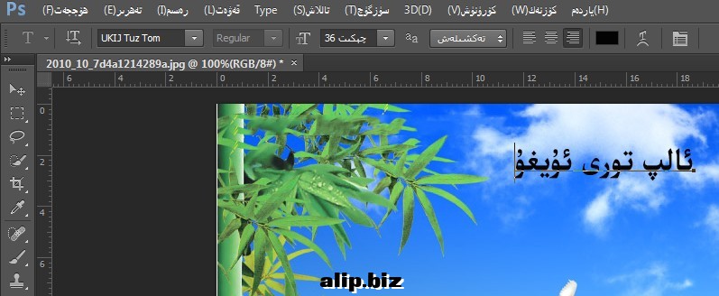 ups5.jpg ups5.jpg