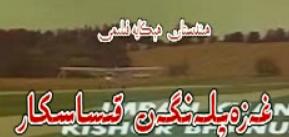 غەزەپلەنگەن قىساسكار
