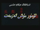 تۆمۈر مۇش ئەزمەت