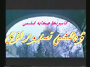 ۋەھشى تىرورلۇق