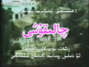 چالىقۇشى