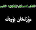 مۇزلىغان يۈرەك