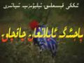 پاجىئەگە ئايلانغان چاقچاق